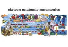 16 Anatomic Mnemonics 16 Anatomic Mnemonics